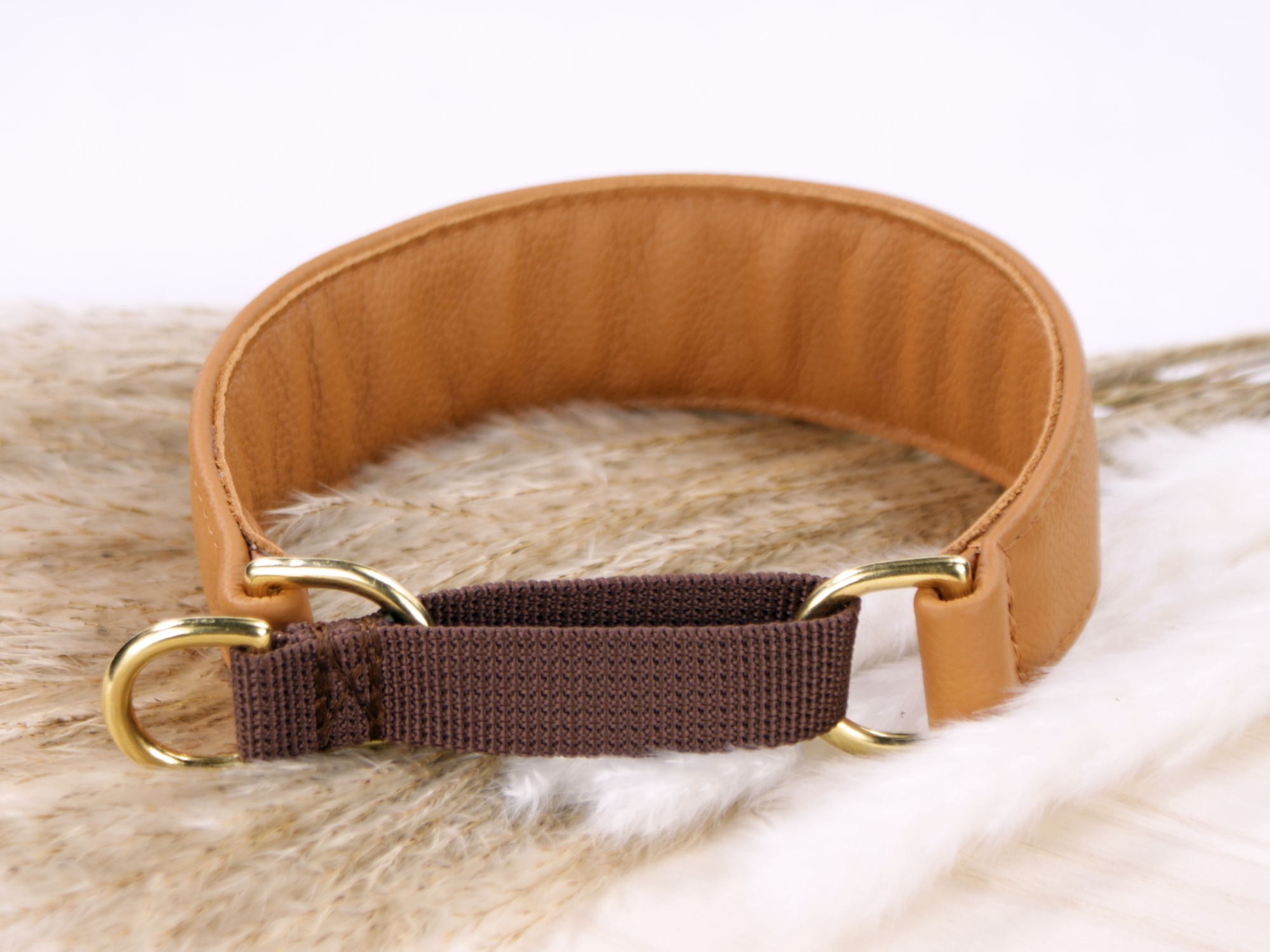 Sighthound Collar with brass metal